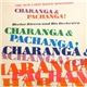 Hector Rivera And His Orchestra - The New Latin Dance Sensation Charanga & Pachanga!